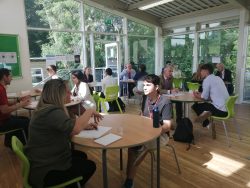 Year 12 Career Week